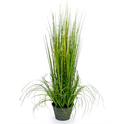 Our small artificial grass plant in pot measures 75cm tall. This super little plant has an abundance of tiny white blooms throughout the lush green makes it very versatile.