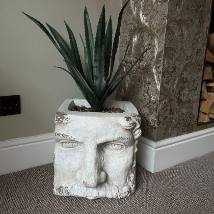 Classical Face Planter - Image 2