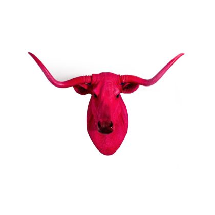 Stella our shocking pink steer head! Add a splash of colour to any room with this great item. Complete with horns, a head turner! 75 x 65 x 43cm