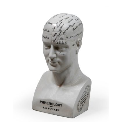 This large Phrenology head ornament will add antiqued style to your home. Smooth glossy ceramic with bold black lettering. 20 x 22 x 44cm