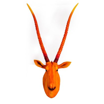 Angie our orange antelope head! Add a splash of colour to any room with this great item. Complete with horns, a head turner! 38 x 105 x 46cm