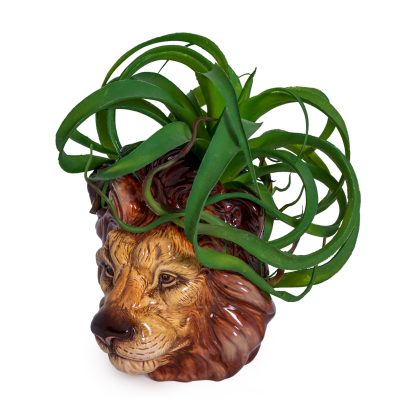 Lilian Lion Storage Vase - Image 2