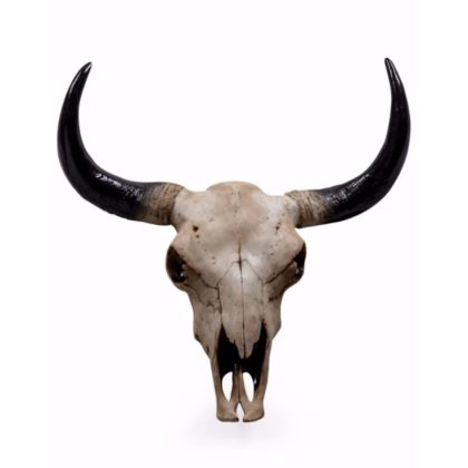 This large bison head wall decor looks soo real! Fabulous colour and detailing to this resin skull. Lightweight, easy hang 42 x 47 x 15cm