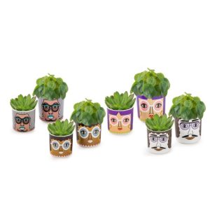 Set of 8 Faces Plant Pots