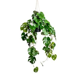 Artificial Hanging Monstera Plant